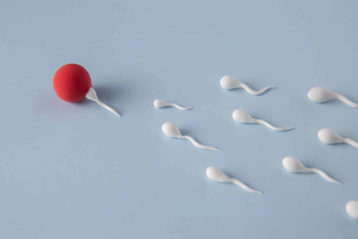 IVF and surrogacy